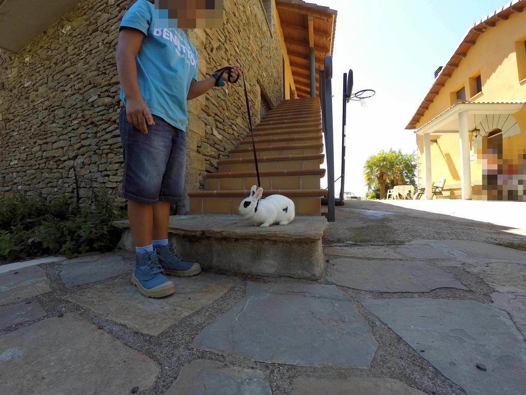 Casa Rural Graeras En Castigaleu Екстер'єр фото
